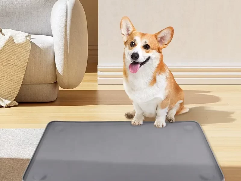 silicone-pet-mat-800x600.png